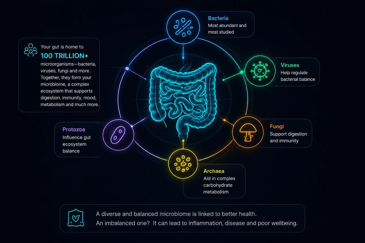 Gut Microbiome
